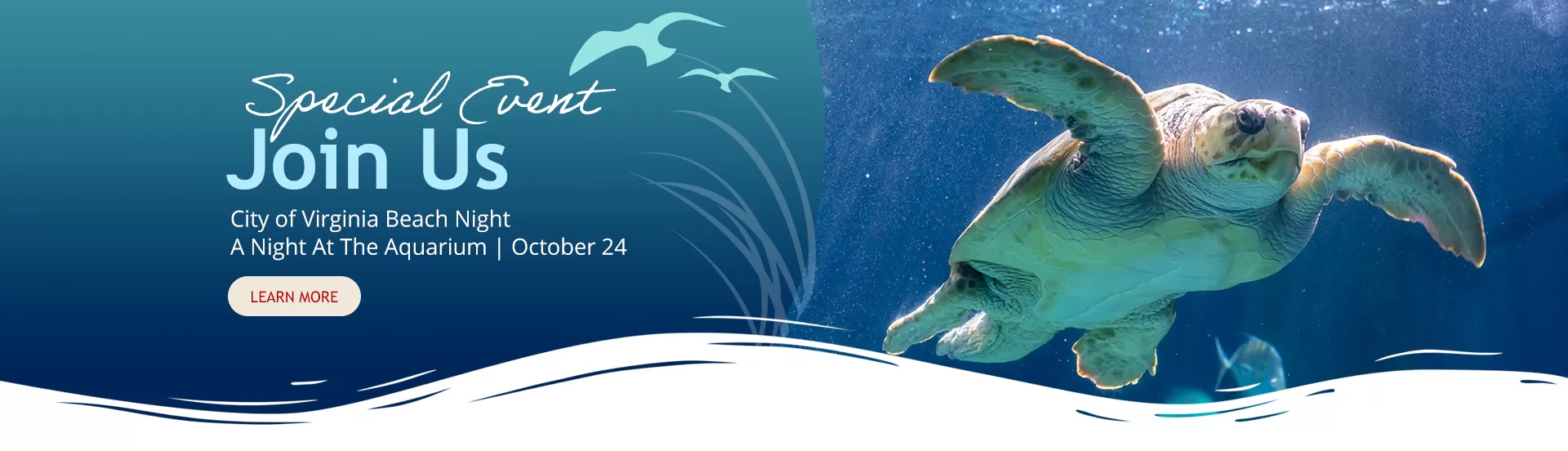 A Night at the Aquarium Appreciation Event Click for registrations